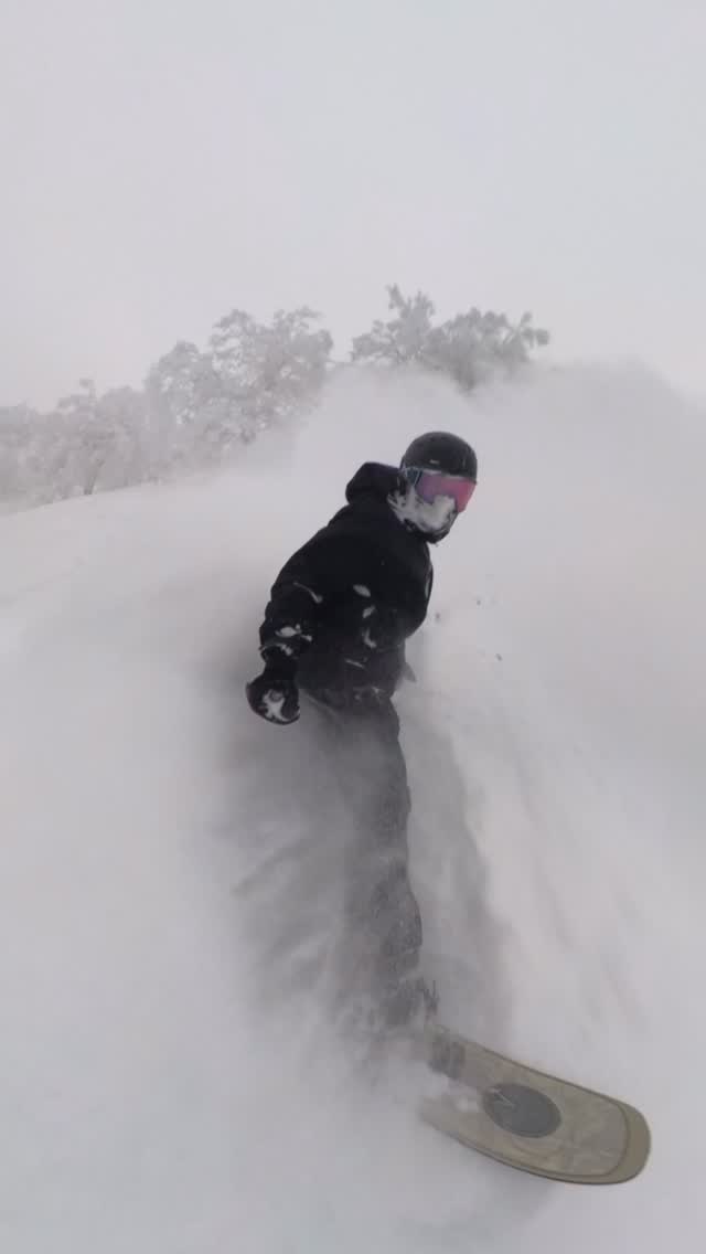 2025 was an all time favorite! A few highlights: Japan ski trip > engaged to my best friend > Married on top of our favorite backcountry mtn area > Utah desert trips > Many nights on the river > Colorado fall foliage trip & via ferrata 

 Many thanks to all that I got to share this incredible year with ❤️ Happy New Year!
