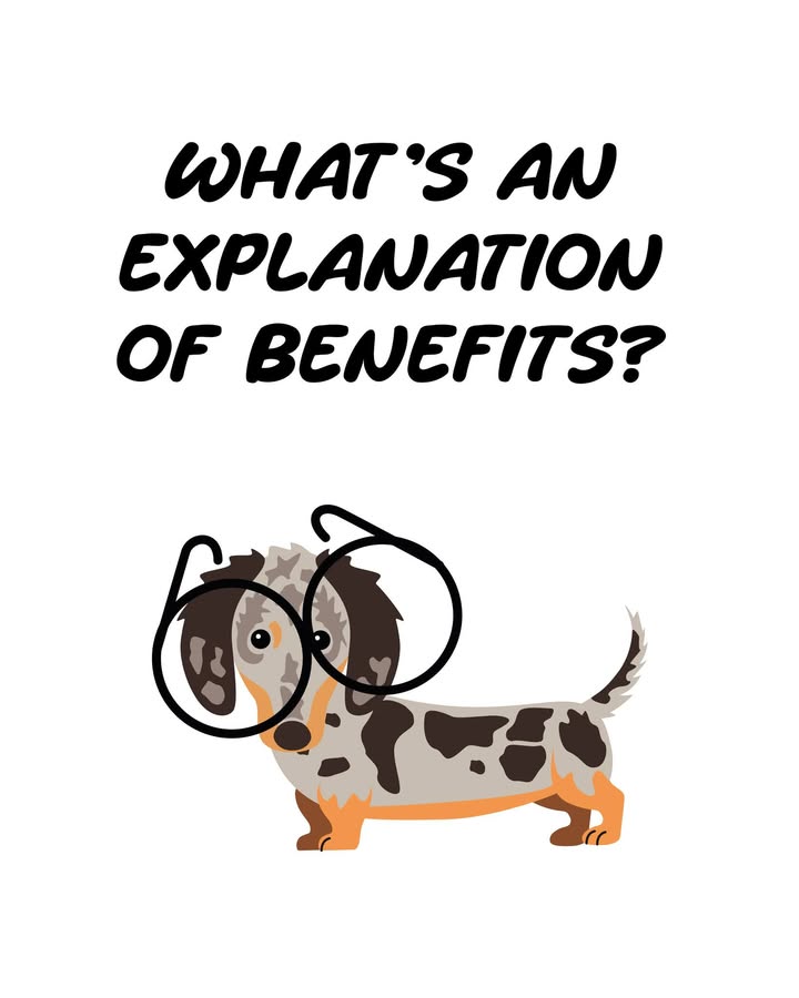 EOBs explain so much about how our health insurance works. Do you check yours?