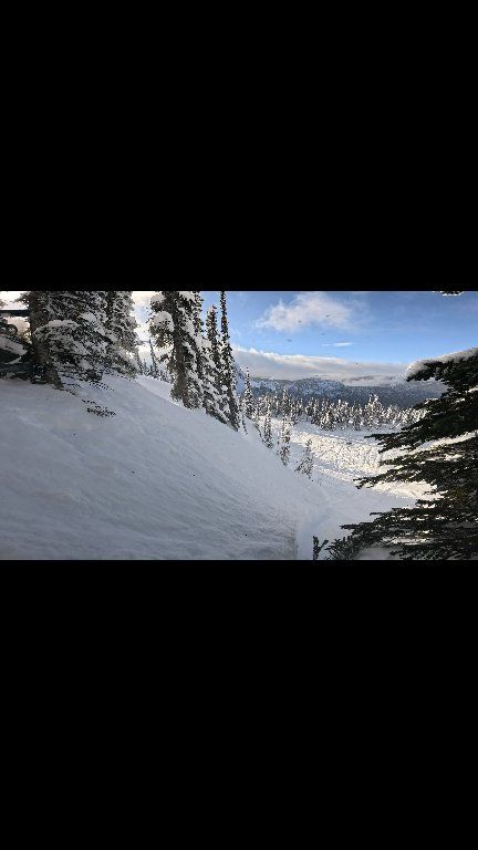 Sometimes you just have to let go! #revelstoke #skidoo #backcountry #fail