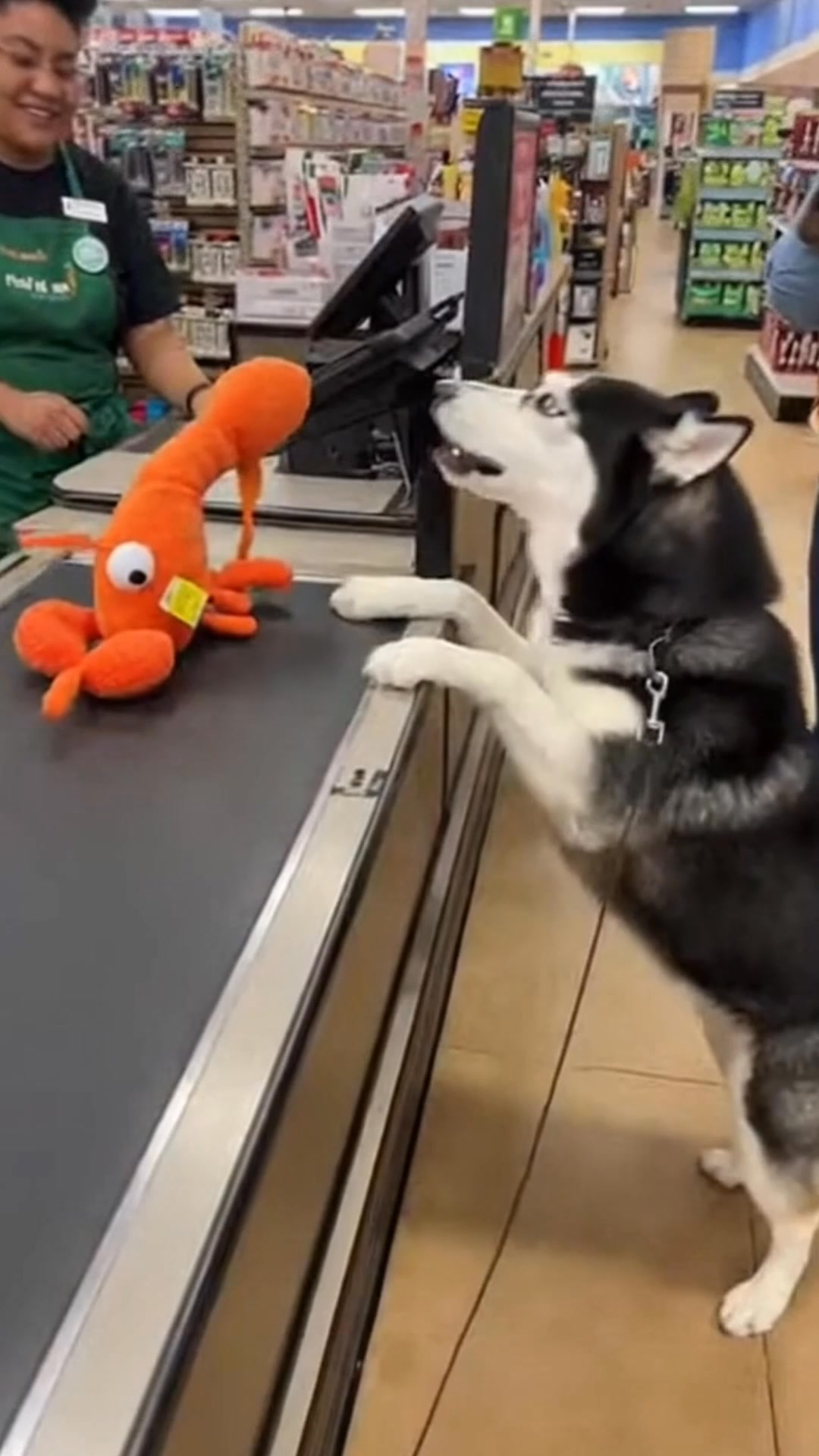 This dog kills me.