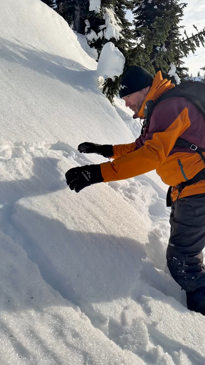 Facets and surface hoar all we are missing is a nice slab, and bam deadly avalanche conditions where ever this combo exists! 

#geteducated 

#sledlifestyle #avalanchesafety #soulrides #snowmobiletour