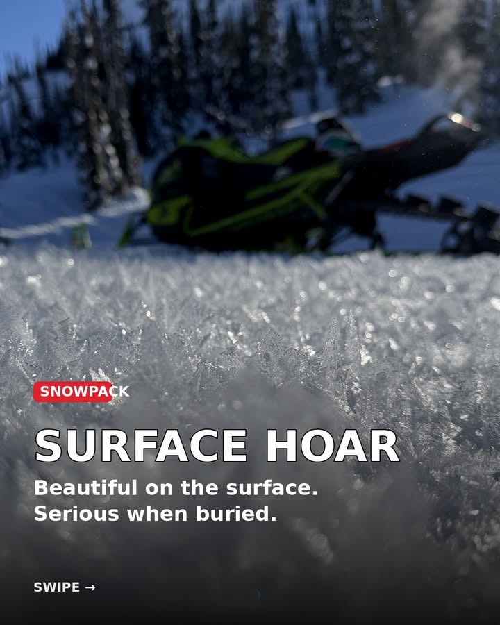 If this surface hoar gets buried by the next storm, does it matter?