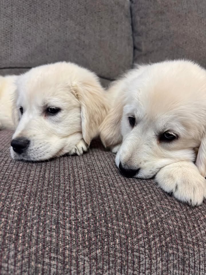 These two girls are still waiting for families!