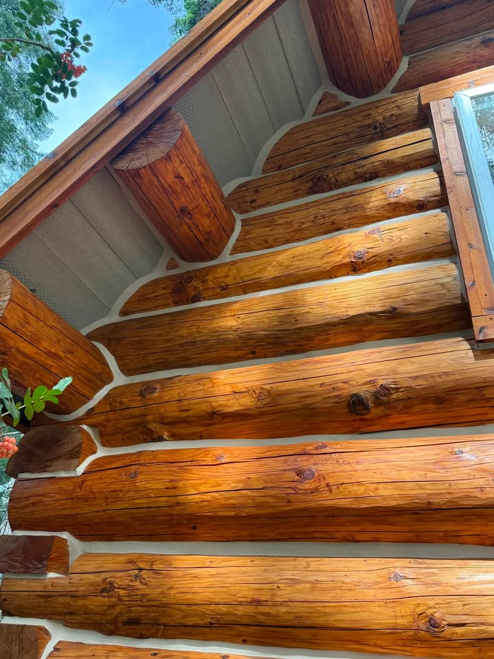 We fill cracks and gaps. Stop the bugs and the bats 🦇.