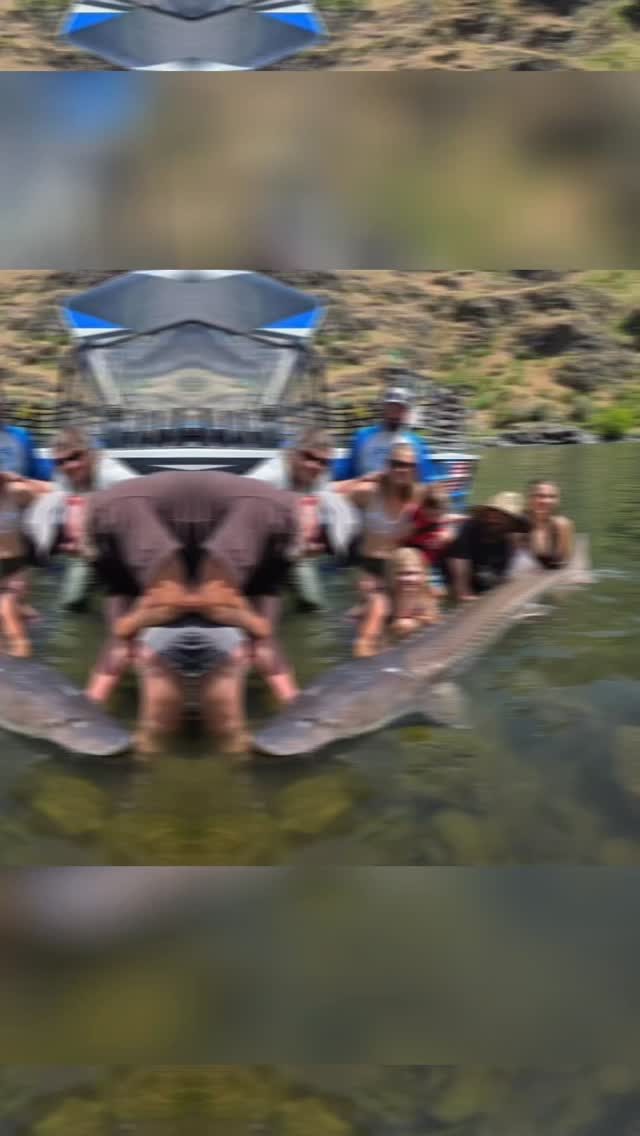 Hells Canyon 2026 

Christmas in May 🙌🏼

Be sure to ask for Jeff at @riveradventuresrigginsidaho!