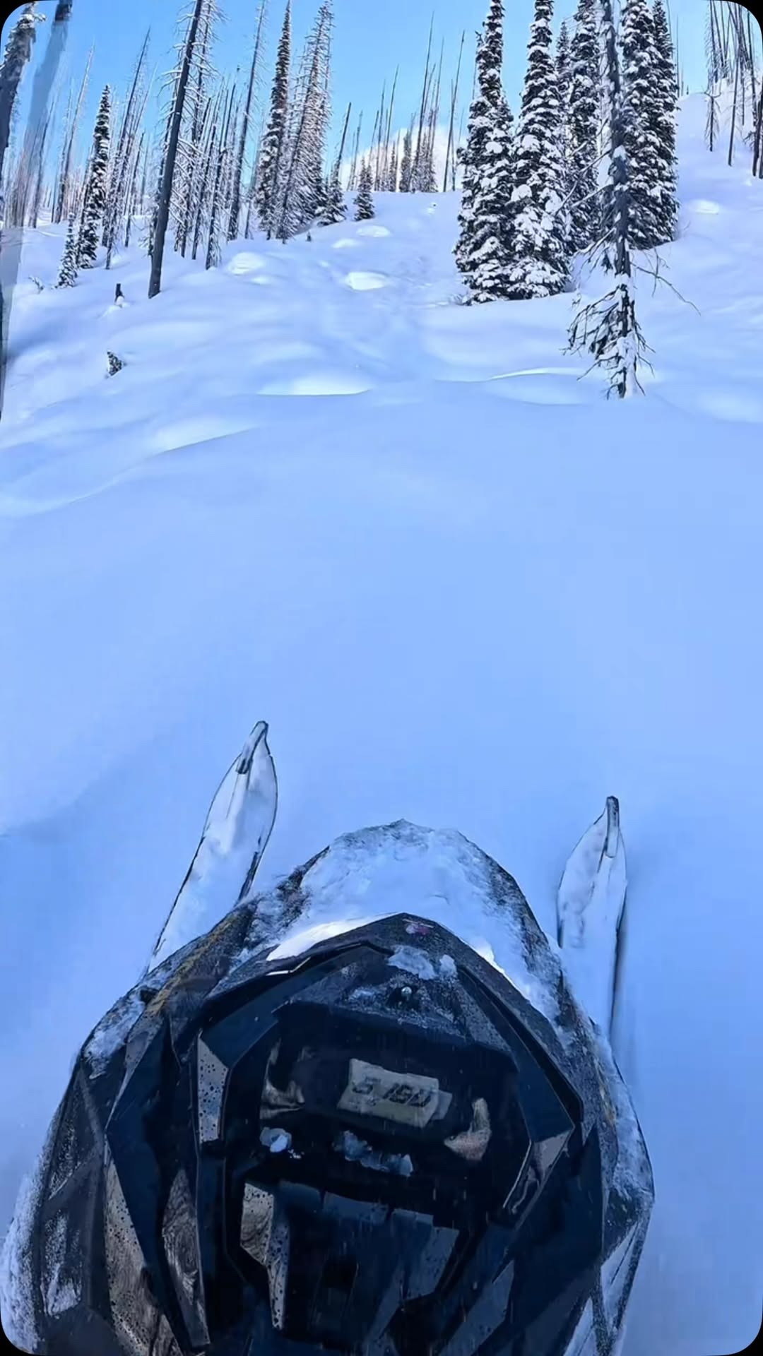 Little winter poke, just to remind you of what is near. 

#arcticcat_snow 

#sledders #lifebehindhandlebars #boondocknation #sledgang