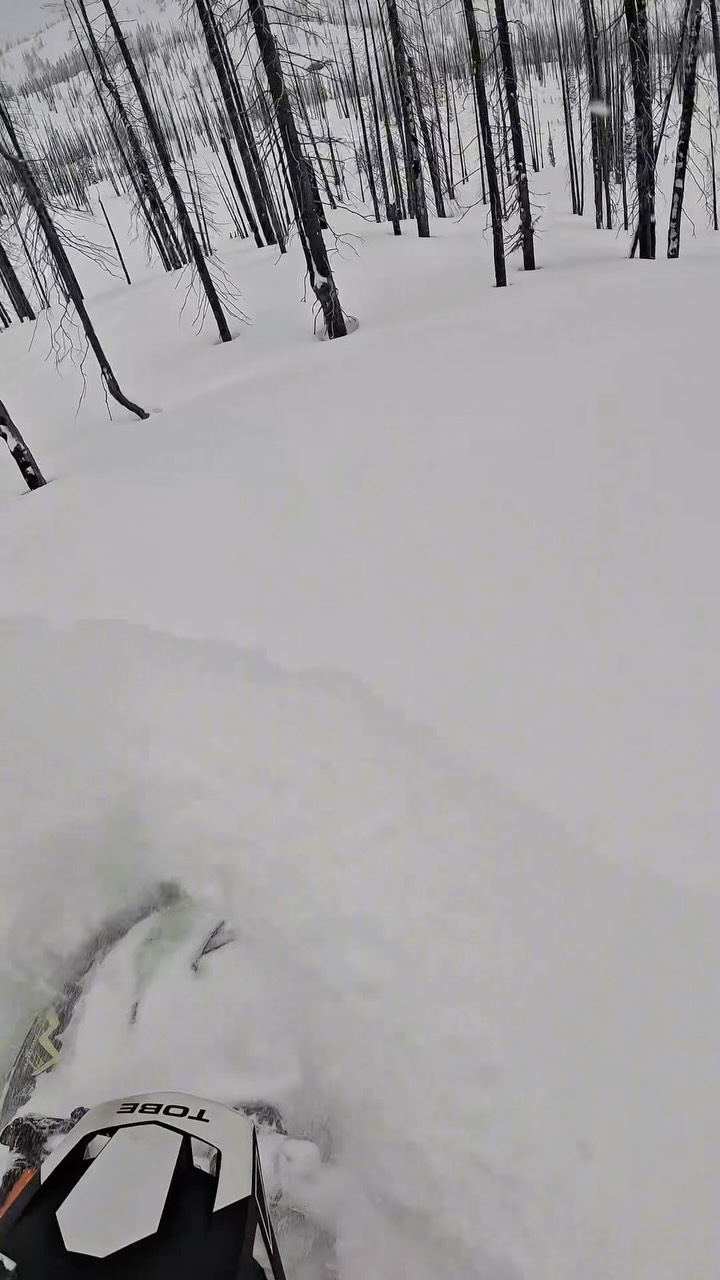 I am in desperate need to stock up on  scratchers. 

#arcticcat_snow #sledlifestyle #sledders #sledgang #sledder