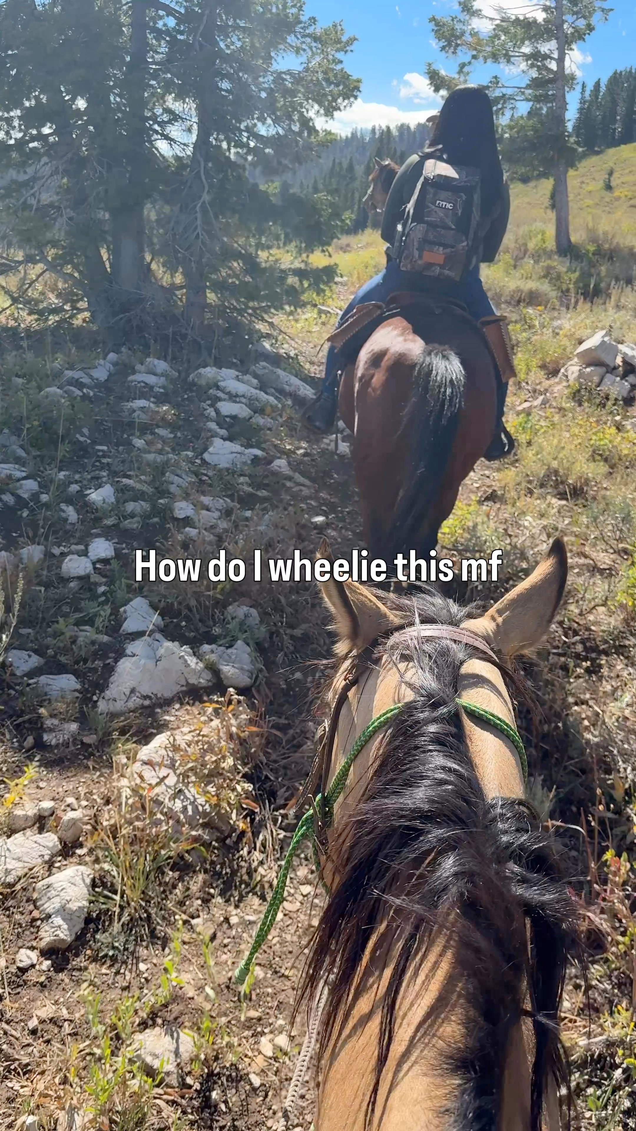 I’ve spent enough time on a snowmobile that apparently my brain only has one solution to going uphill. 😂

Horsepower is horsepower, right?

Sled peeps… tell me I’m not the only one who had this thought. 😂👇

 Simmons, Inc.