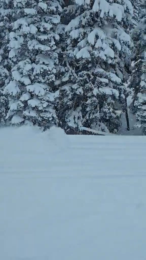 Is it time for this yet?!?!
Cant wait to try out our new controls and gear from KYBER.one!  So excited to partner with them for this riding season! 
#snowmobilelife #kidswhoride