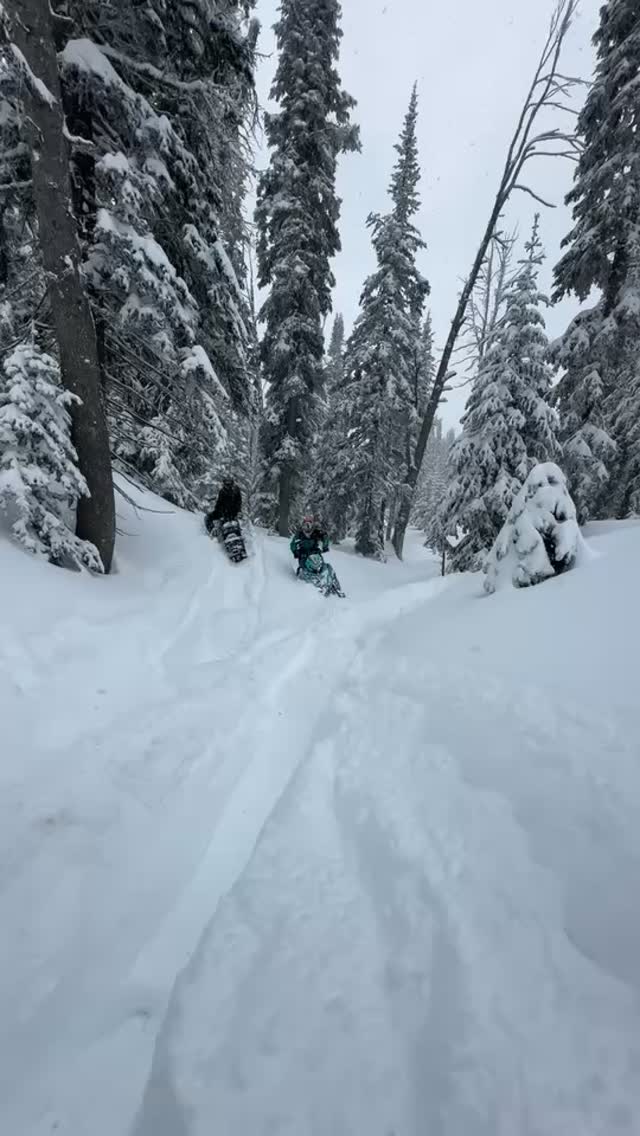 I’ll come back and help you guys get unstuck, i promise! But first I’m going to make some tracks before you get there!😂 The @polarissnow boost is just so good! It is definitely my favorite sled!  @klim @arcticfxgraphics @oxbowgear @startinglineproducts #polarisambassador #klimambassador #oxbowathlete #arcticfxambassador #polarisengineeredlubricants