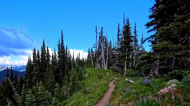 Nothing like finishing a quick 6 mile hike and walking back to your rig and having a nice cold bottle of water and a water bottle of ice that’s waiting for you. This @bougerv electric cooler is definitely a game changer. 

#hike #pnw #pewoverland #pnwlife #outdoors