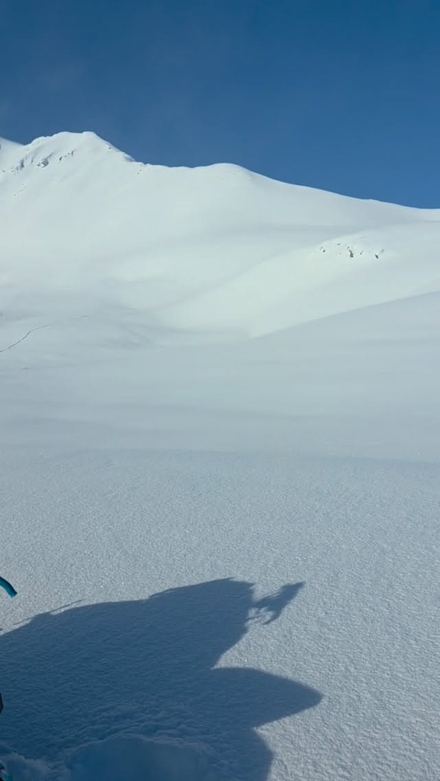 Sometimes it pays off being first person on the mountain 🤘🏾

@arcticfxgraphics
@skidoo

#thatskidoofeeling #arcticfxgraphics #alaska #summersucks