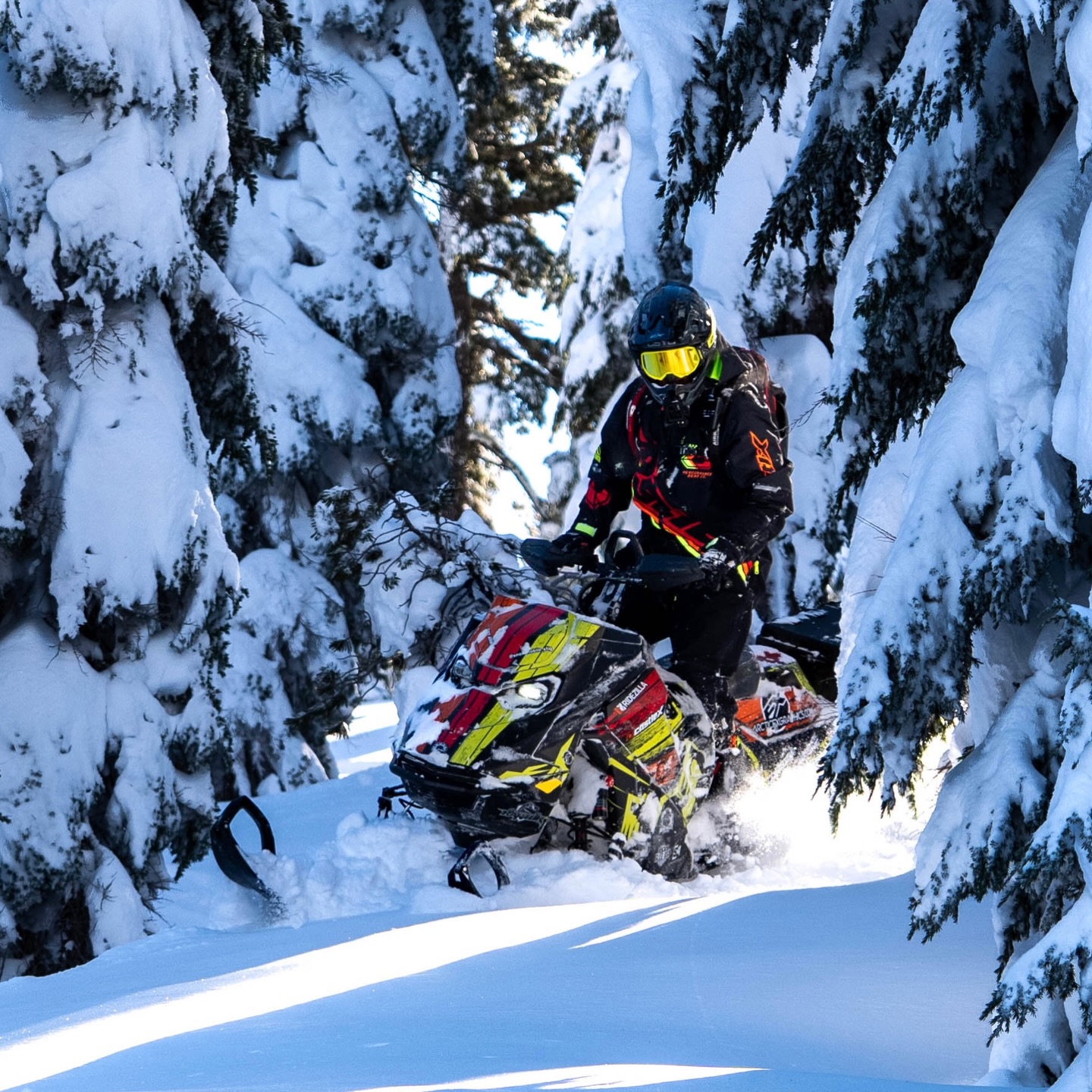 Out here, the story isn’t told…
it’s carved, then erased by the next storm. 
❄️ 
#thatskidoofeeling #brpdealerambassador #snowmobile #sledcali #winterplayground