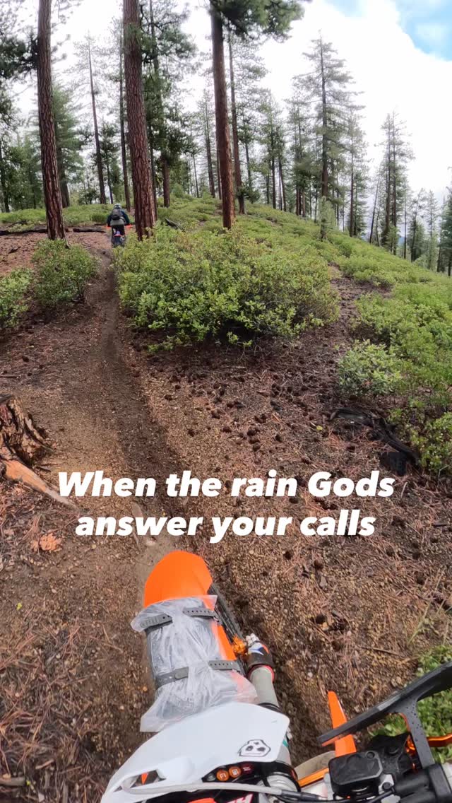 Wet dirt! An unusual sight in Central Oregon. You’ve got to jump on it quick around here, it will be dusty again in a couple days 🤷🏼‍♂️

#dirtbikes #singletrack #moto