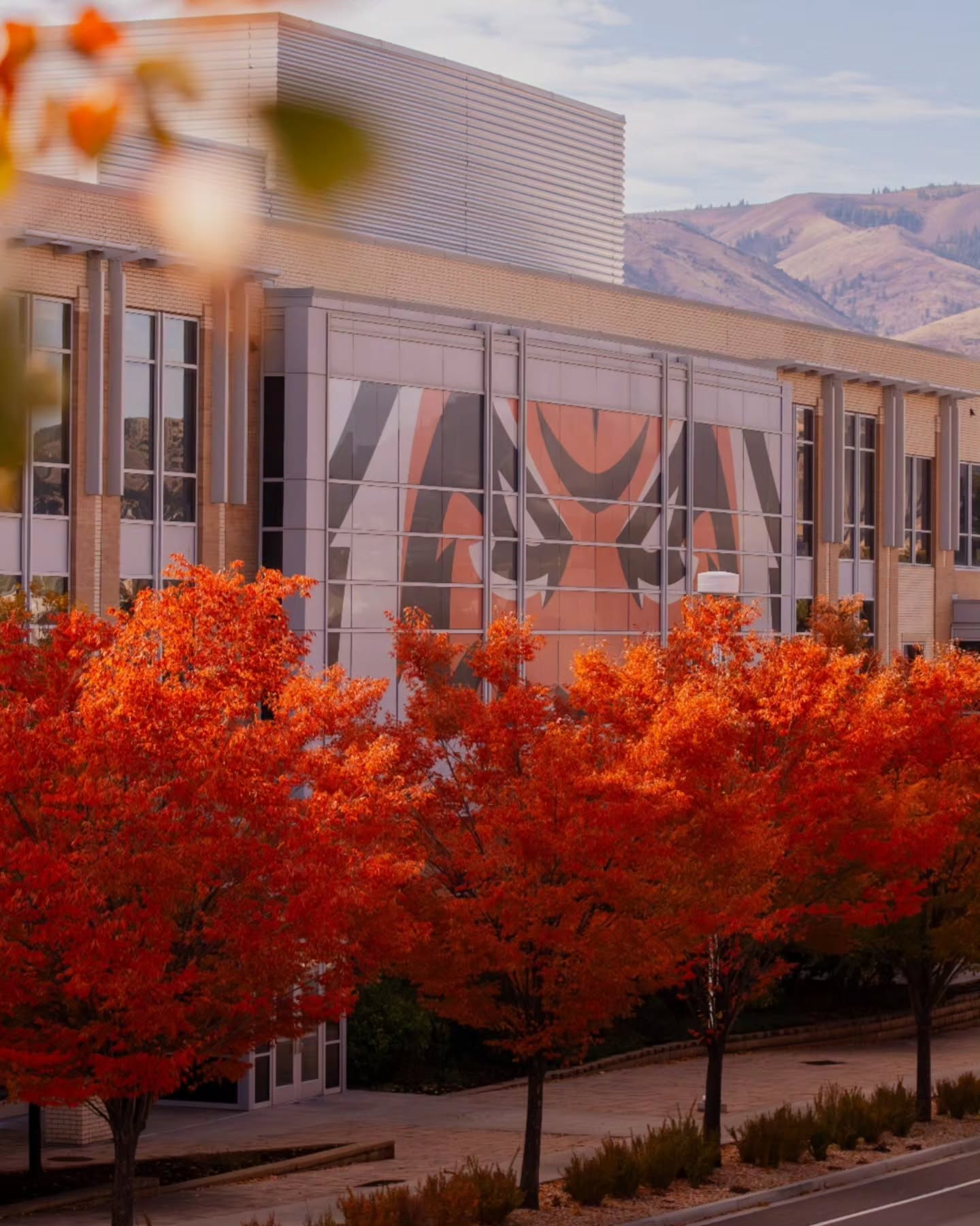 Idaho State University is showing it's fall colors! 🍁🍂