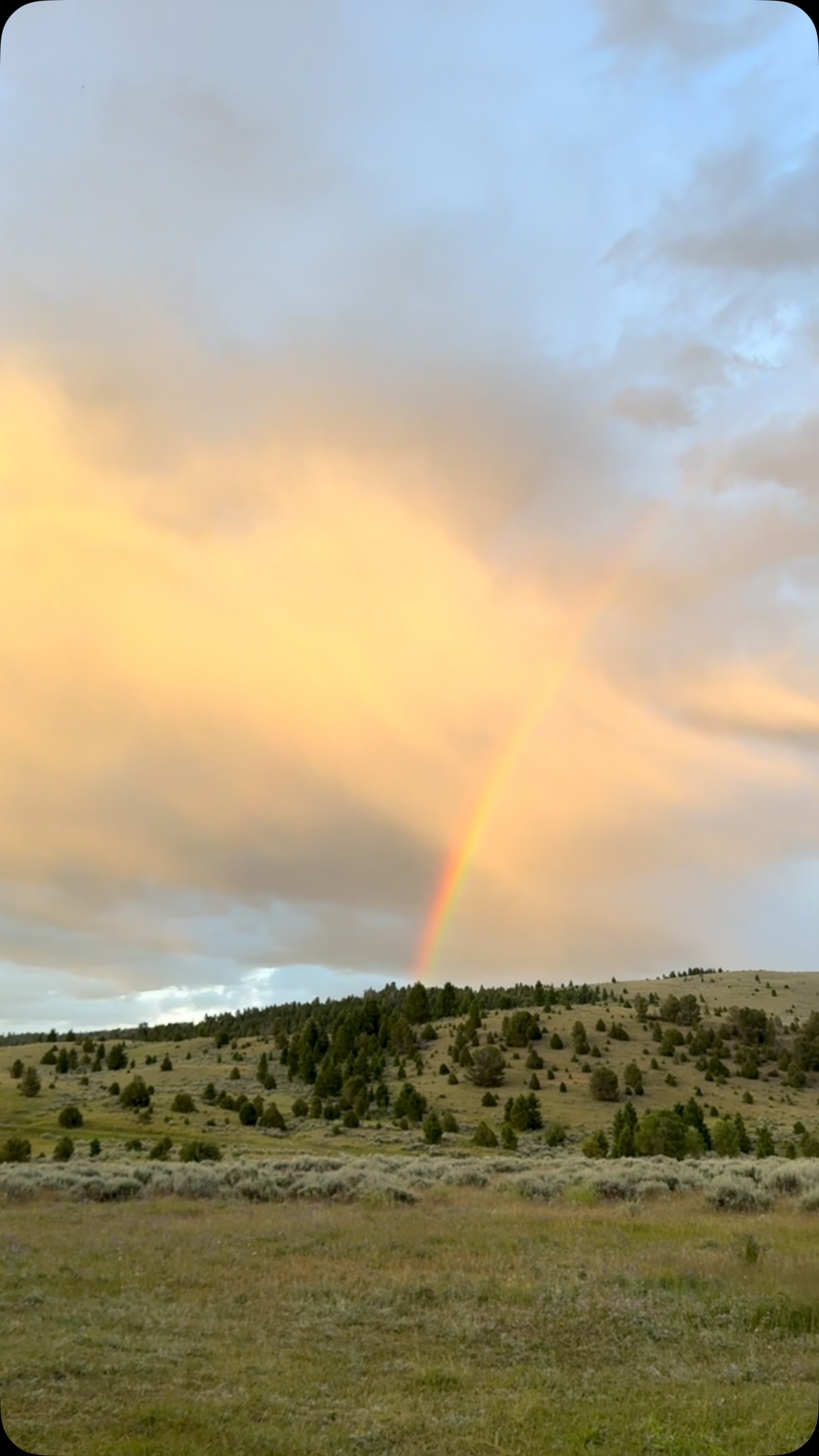 So grateful for the mountains and the peacefulness it is. Great weekend celebrating the 4th with the family.