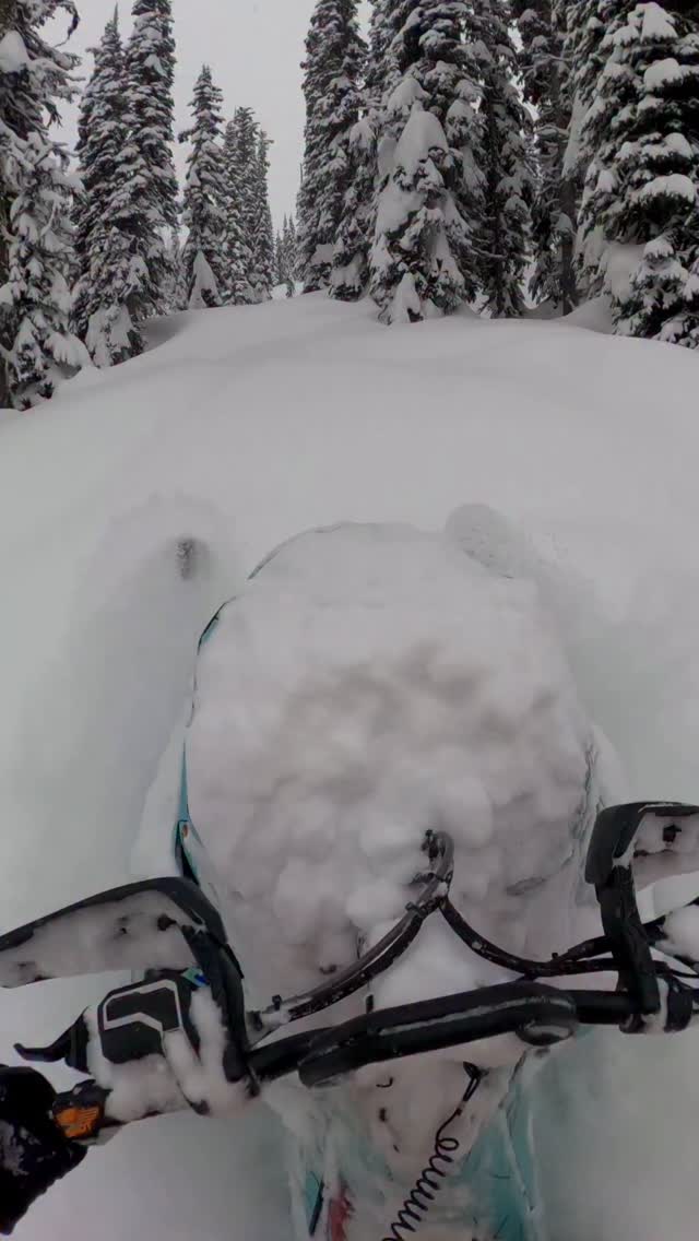 Anyone else missing winter yet?