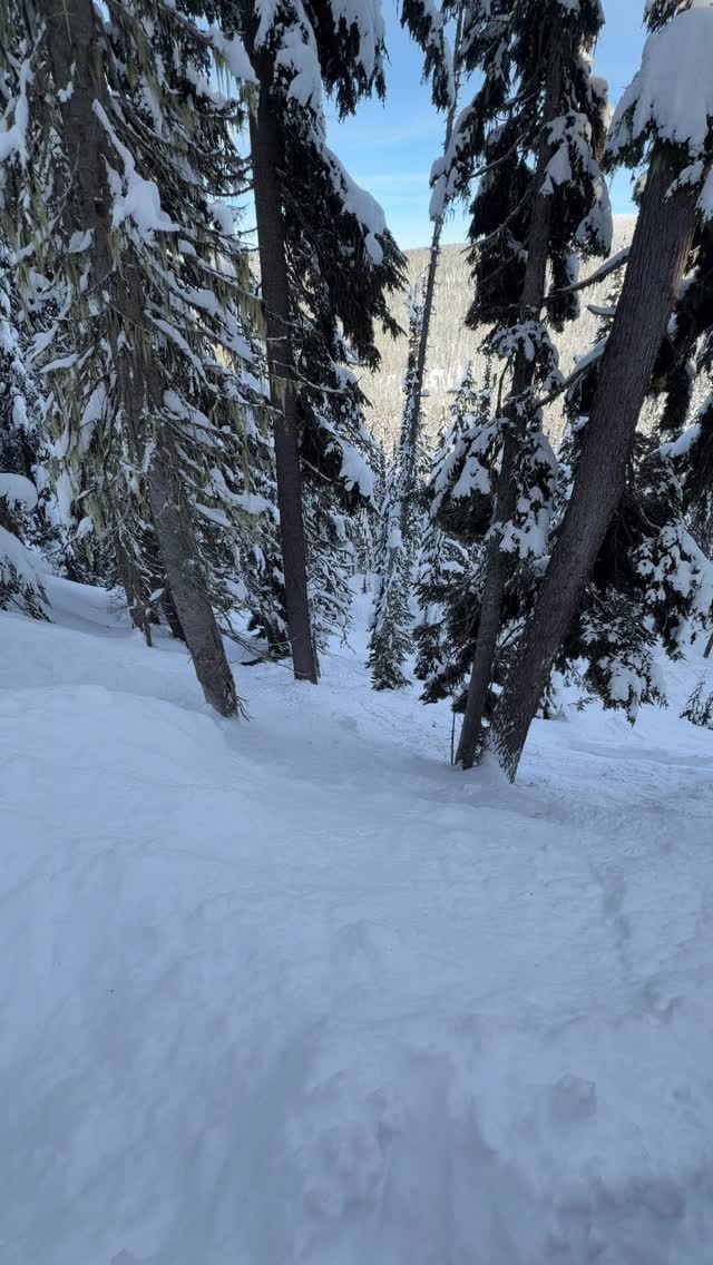 Immediately after elk season I’m desperately looking forward to riding with the homies🏔️

I zigged when I should have zagged at the top😅

🎥 @scott.eyer 

#snowmobile
