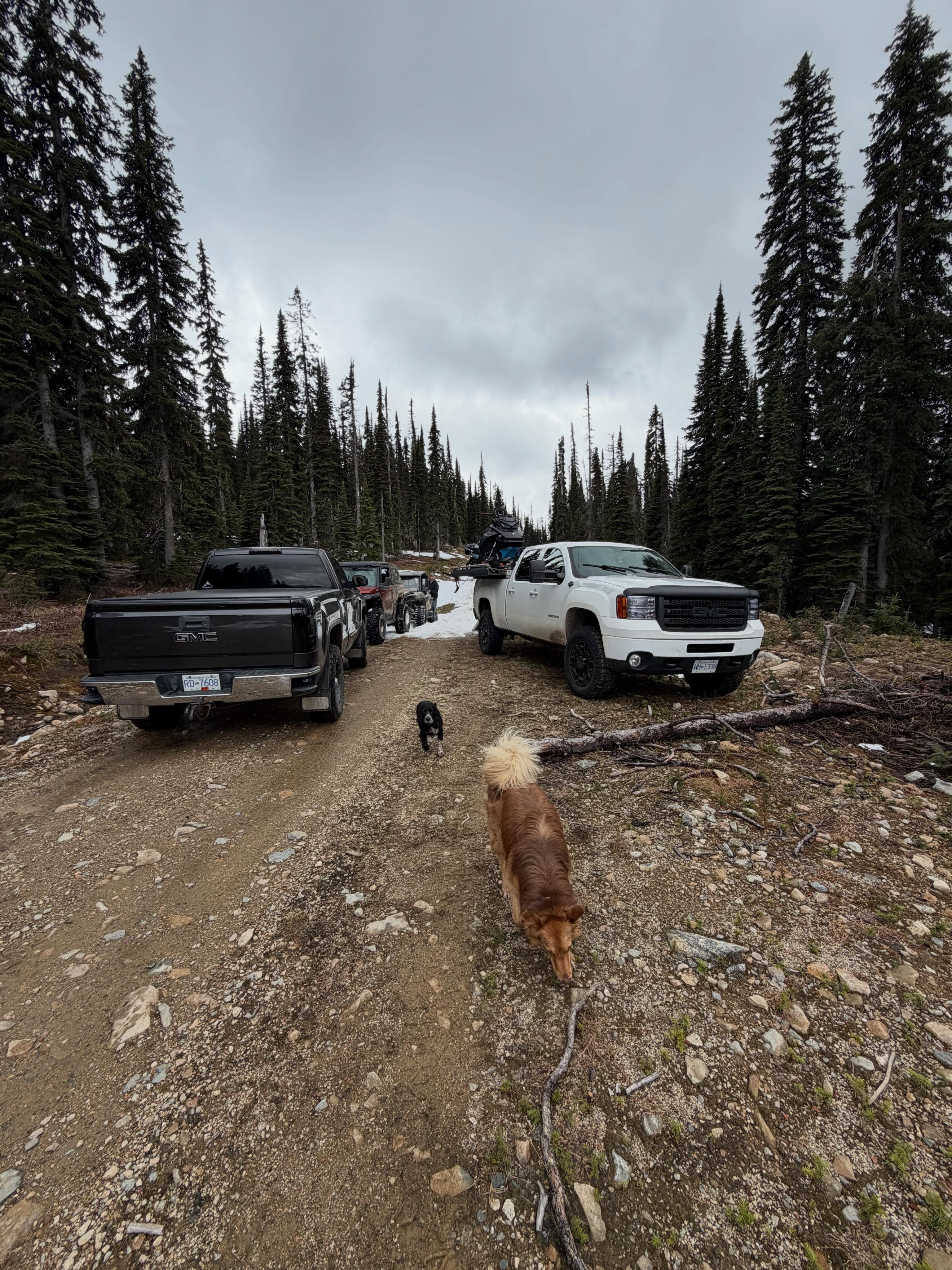 sunday afternoon took a drive up the mountain to see what was there for snow still then i run into people i know 20km up lol @darienblight getting in a june ride and my neighbor out for a rip with a buddy and the pups on SXS sicamous stuff @exploresicamous #lovewhereyoulive❤️ #sundayfunday☀️ @skidoo @gmccanada @polarisorv @sledsicamous