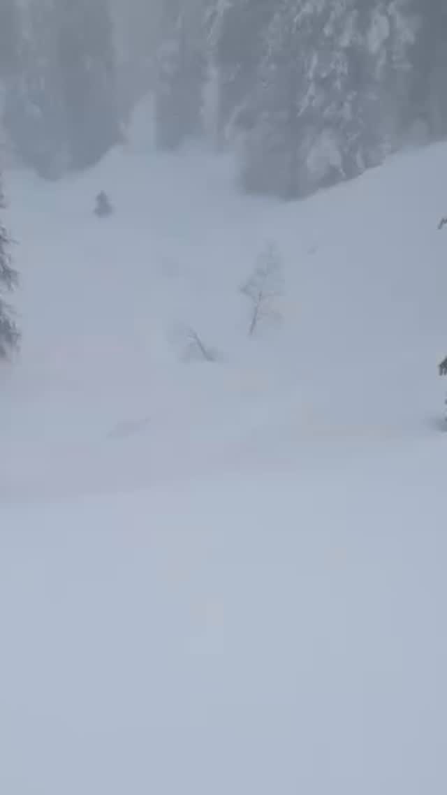Daydreaming of these days❄️
