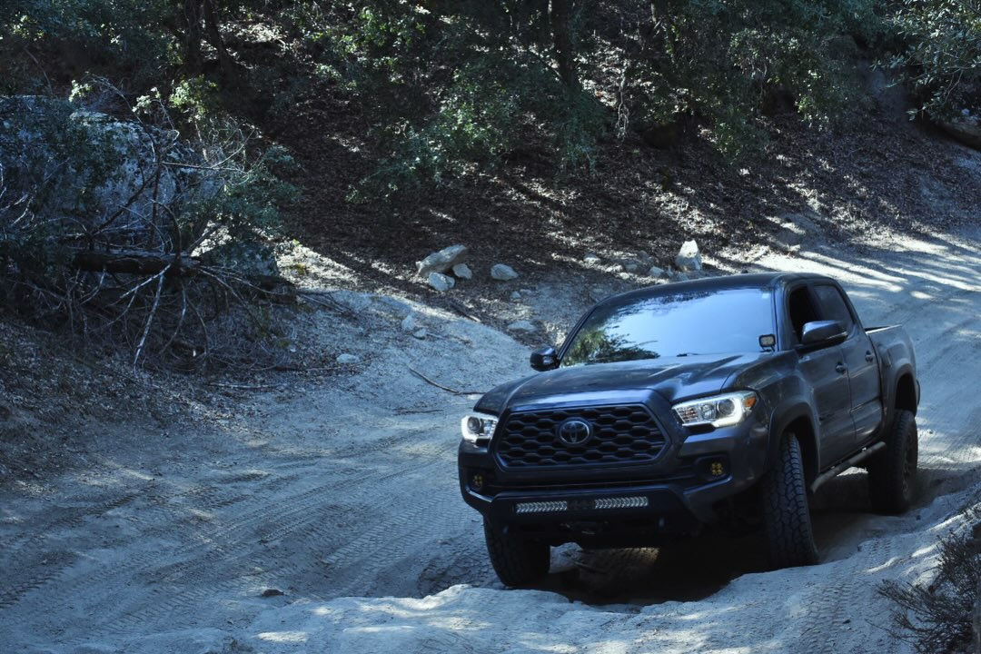 In the ruts. Enjoying the view.