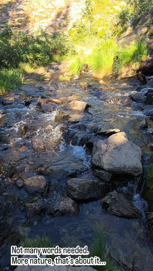 Not many words needed. 
More nature, that's about it...

#natureisneat 
#rmnp