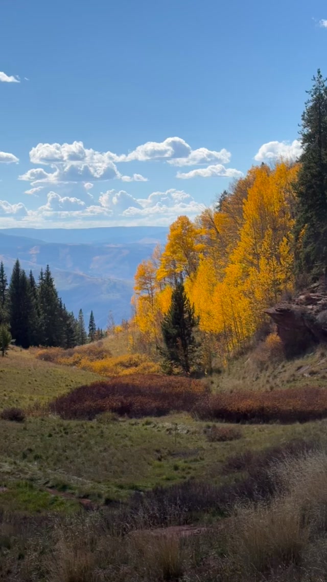 After nearly 2 months of injury (back sprain) I finally got back on the bike and got out to my favorite zone during one of my favorite times of year! I always struggle with the mental side of injuries and sitting around being cooped up definitely does not help. I think it’s something as an athlete that we take for granted when our bodies don’t always match our ambitions, especially now in my mid 30s things hurt a little bit more and take a lot longer to heal than I would like 🤘🏻 #blessed #rockymountainhigh #fallvibes #throttletherapy #ktm