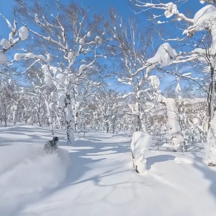 Comment JAPOW if you’re interested in riding Japan this winter! This will be first come first serve with limited spots. 

I guarantee it will be a Trip of a Lifetime 🤘
