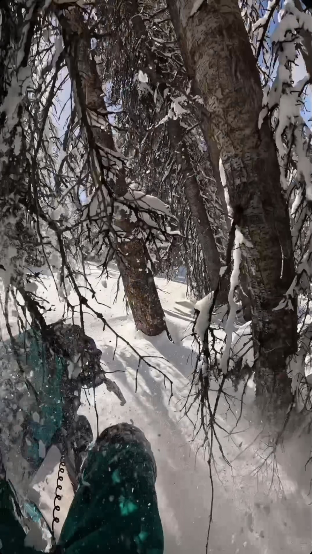This one definitely hurt the pride😂
#snowmobile #sledding #fail #outdoors #backcountry