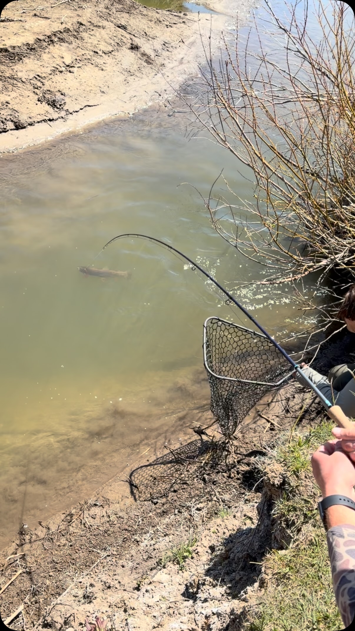 Sight fishing at its finest.