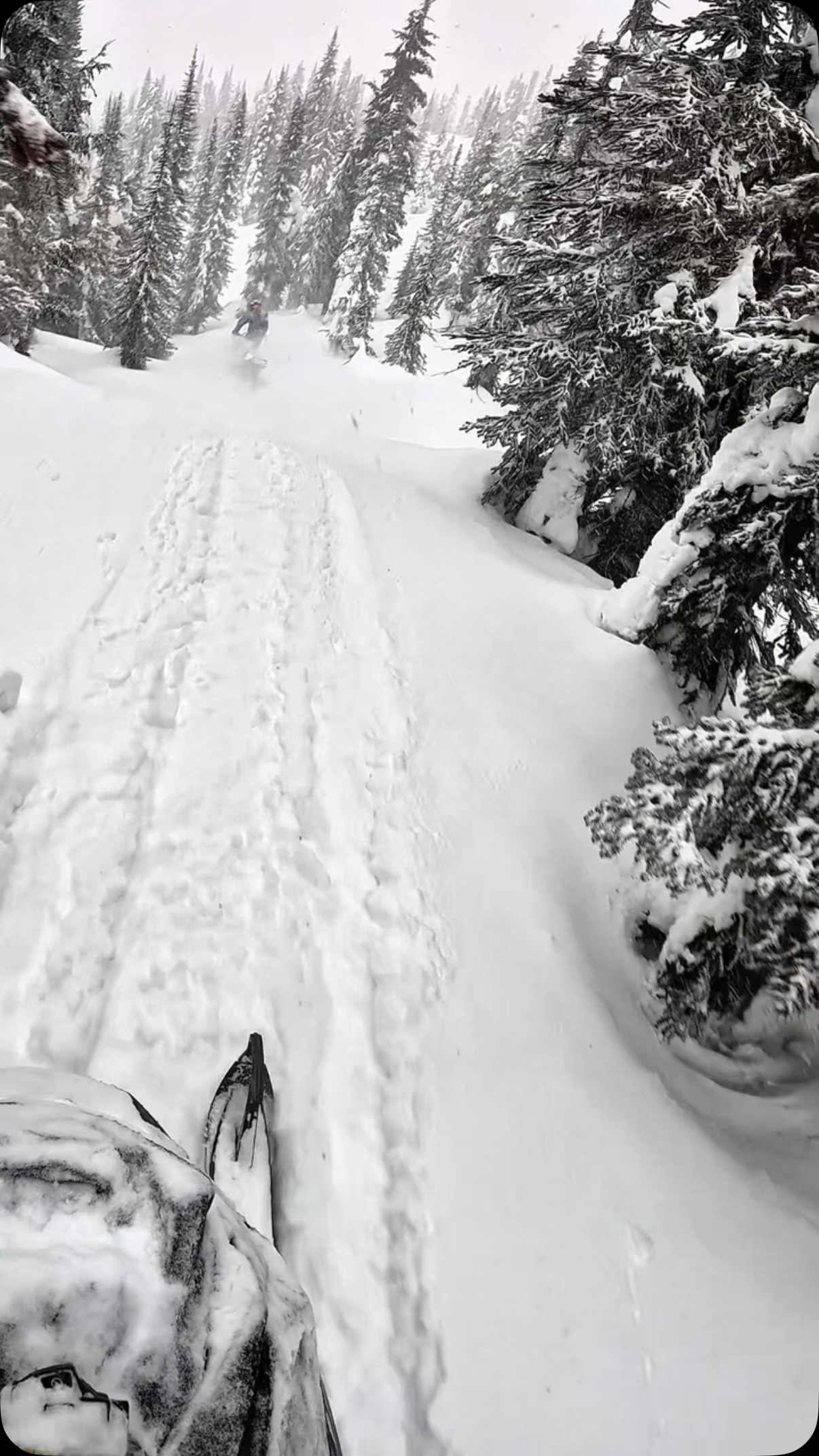 Signs of instability. 

#geteducated 

#avalanchesafety #sledlifestyle #soulrides #sledder