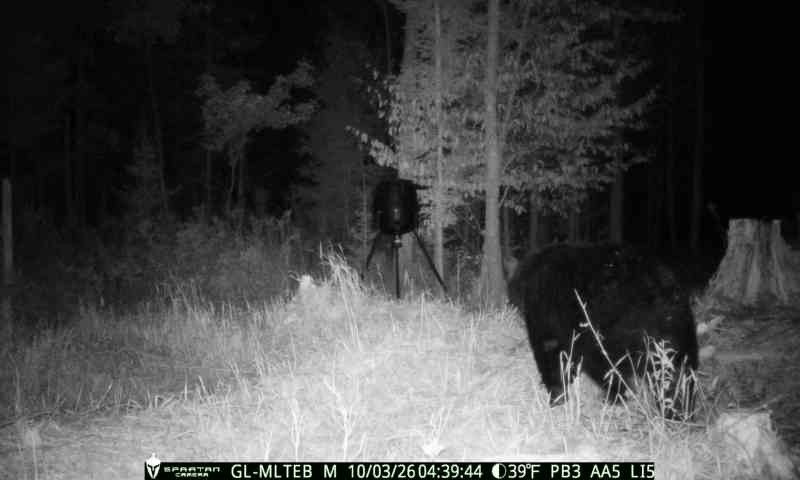 Anyone need to fill a bear tag with this bog boy 🤪😮