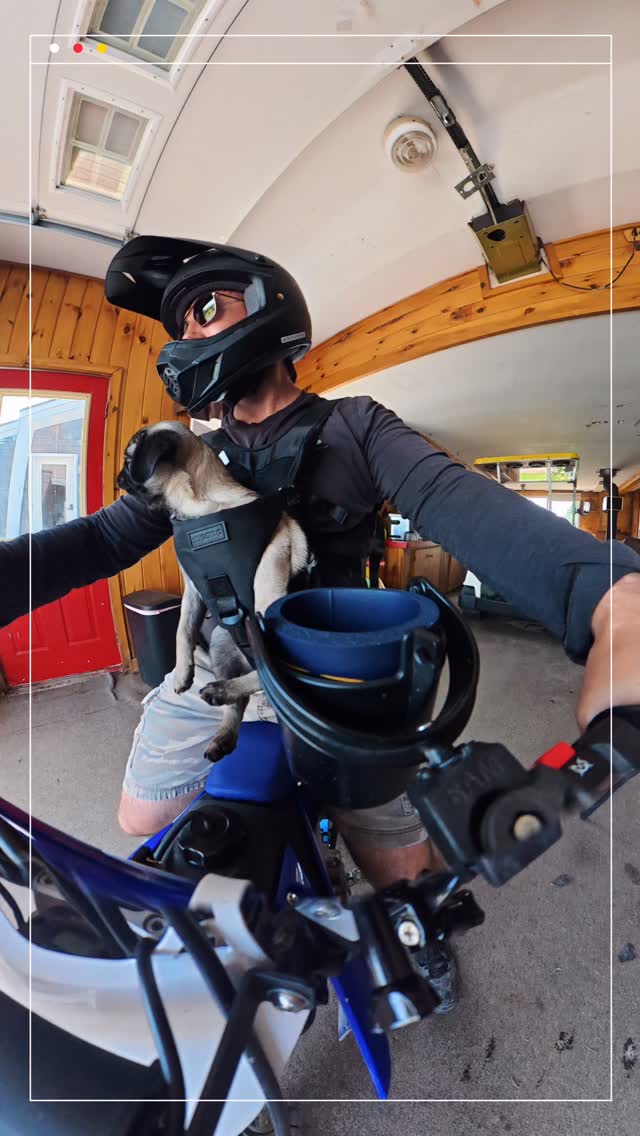 Mr. Smalls loves the fresh breeze. #pugslife #pugs #yamaha #ttr110