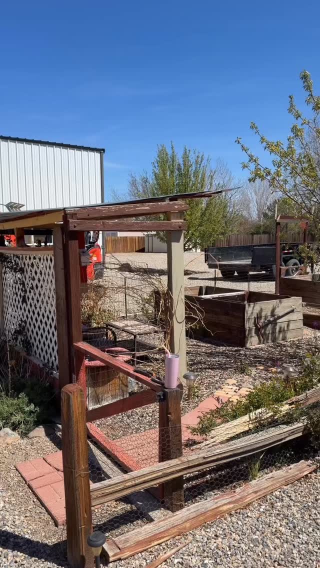 DIY labor of love. The garden is updated with a new fence and gate. We are planted and ready to grow. I love the new programmable solar lights for lighting and holiday vibes. Can’t wait for the summer produce!  #garden #diy #vegetables #together #project