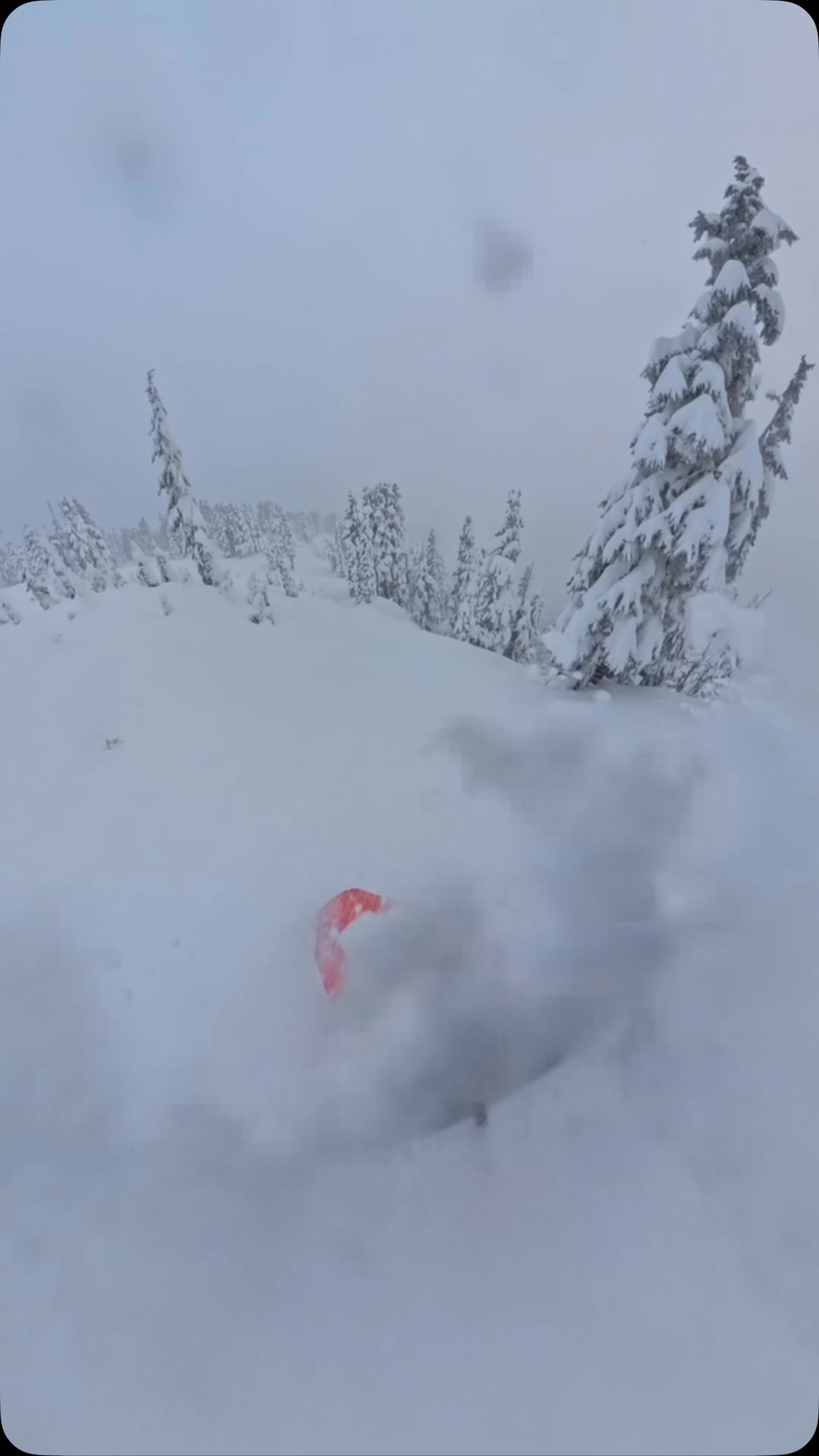 ❤️ @skidoo