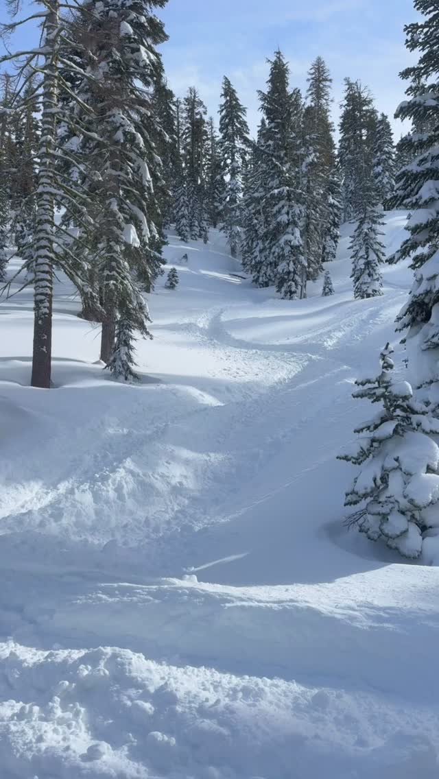 Good week with a good crew!! #skidoo #letthatturboblow #letthatturboblow #mybodyhurts #savetahoesnowmobiling @dwaynetherock.hardjohnson @youshouldhearthewhistle @jakebicknell @sethsprncr @yaboi.nicky @dogprty @big_meeesh_