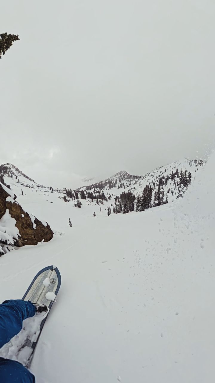3 laps of pure bliss. Couldn't have gotten better conditions to demo the @cardiffsnowcraft Swell in 154cm.. thanks @jmosends.
.
.
.
.
#spring #wasatch #splitboarding #snowboarding #snow
