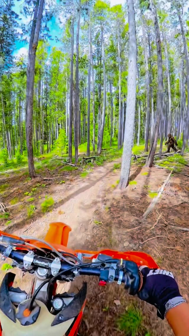 One wrong move and my fingers are gone 🫥 pretty place tho! #viral #riding #dirtbike #woods #forest @dunelifeco @motohippiemx