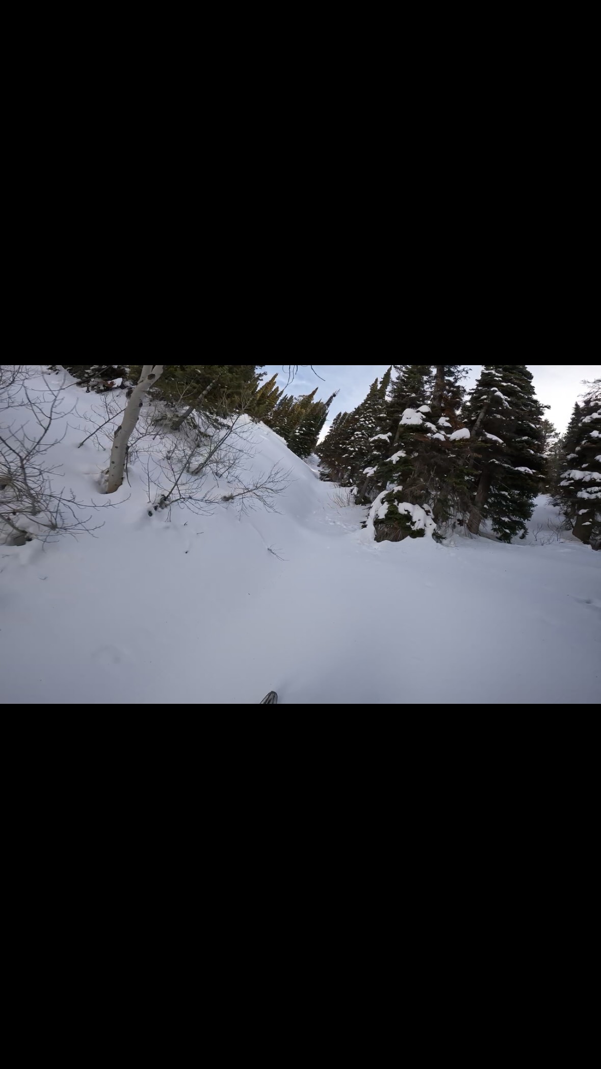 Cooler mornings got this on my mind! Bring on winter! 
@cyclesnsleds #cnstuned 
@tempestoptics 
@rpm_powersports