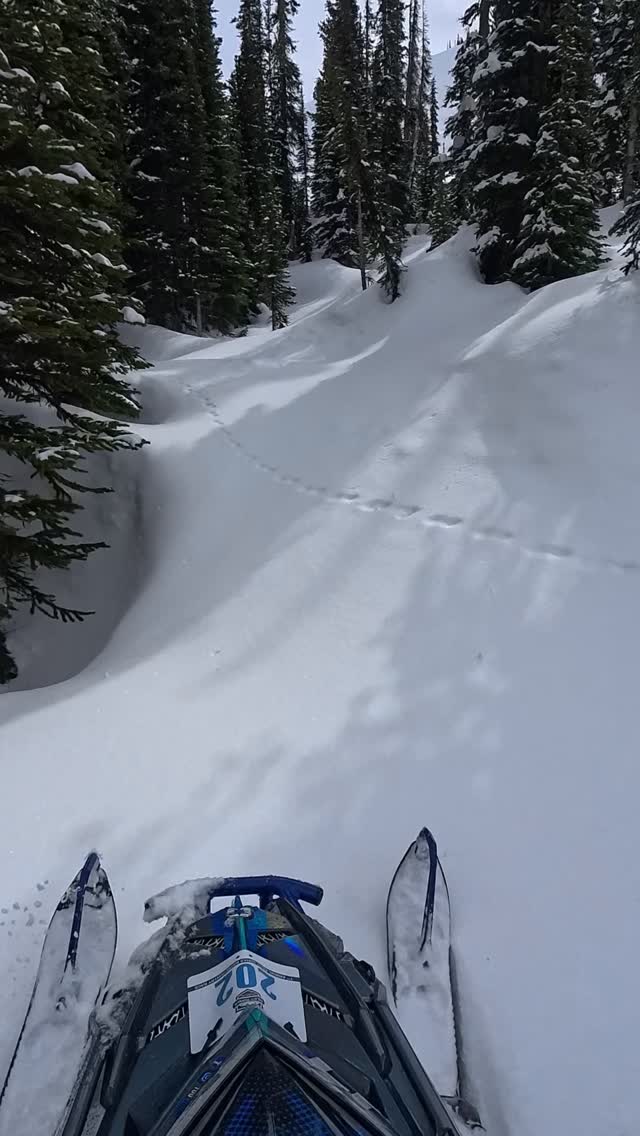 As the weather gets warmer, and the snow melts more, I keep reminiscing on the season I had!

I met a lot of great people this year and made new friends that share the same passion for the backcountry as I do!

I’m still a bit in denial that my season is over, but I think it is! So, here is a fun little treeline I found after competing at the Suhan race! 

#thinkoutside #klim #sledgolden