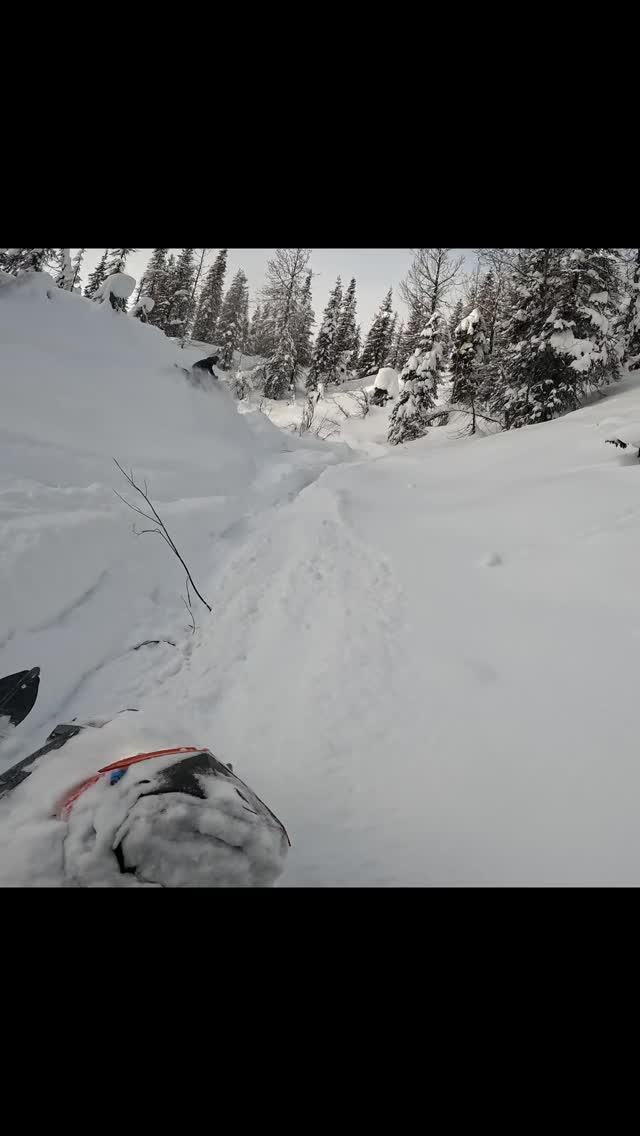 Nothin like some good ole creek bed running!

@polarissnow 
@dps_fairbanks 
@dps_riders_team 
@deltapowersports 
@klim 
@gopro 

#creeks #deepsnow #followtheleader