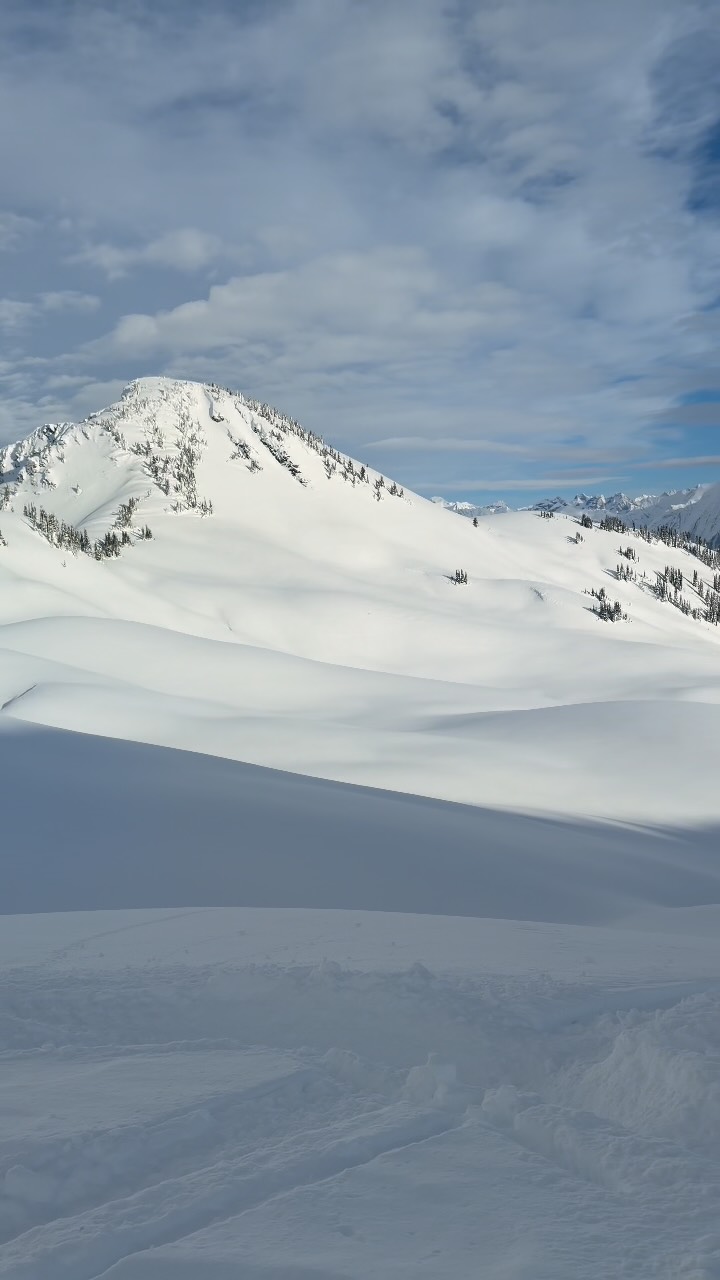 I’m sure you will be seeing a lot of posts from me in the upcoming months as I process the events I just went through. But I promise they will all still be beautiful and full of life (snowmobiling and hiking, etc). ♥️❄️🌄🏔️

#happytobealive #enjoythemoments #lovedeeply #gratitude