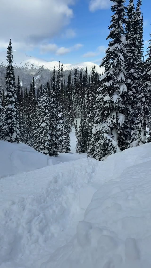 Had a little too many ski pulls this weekend#skidoo #mountainlabgear