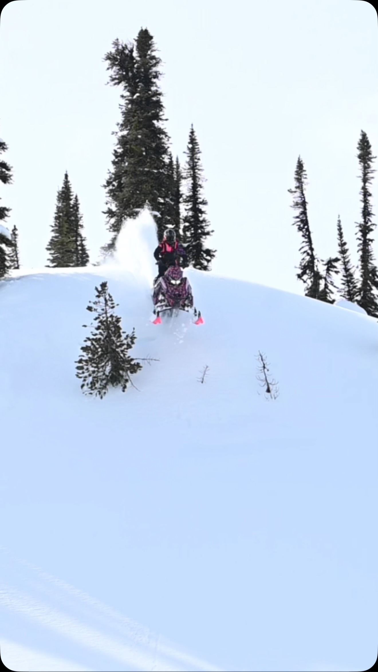 🩷&🖤 setup!

Vault Throwback #8 - Deep powder & good vibes! ❄️
Nothing beats the feeling of fresh mountain air and endless pow. ❄️🙌🏽

#THINKoutside #KLIMlife #SledLife #WinterIsComing