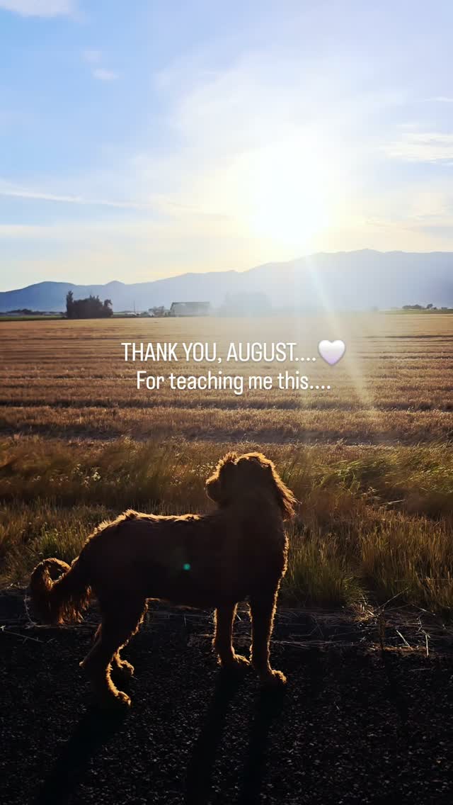 Growth isn't always comfortable. Sometimes it means leaving behind old versions of yourself. 

Thank you, August, for teaching me this. 

#BecomingHer #PersonalGrowth #ChooseYourself #WomenSupportingWomen #GrowthJourney