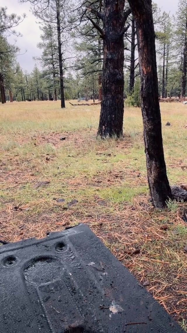 Peeking out of the pines with the @kammok #firebelly Next up: loft, poncho mode, and real use. 

This has amazing texture which is big for me with the AuDHD. Those with loved ones who have autism will know if something doesn’t feel right it’s a no go. 

 #Overlanding #AuDHD #CampGear #BackpackingQuilt post is in partnership with @kammok
