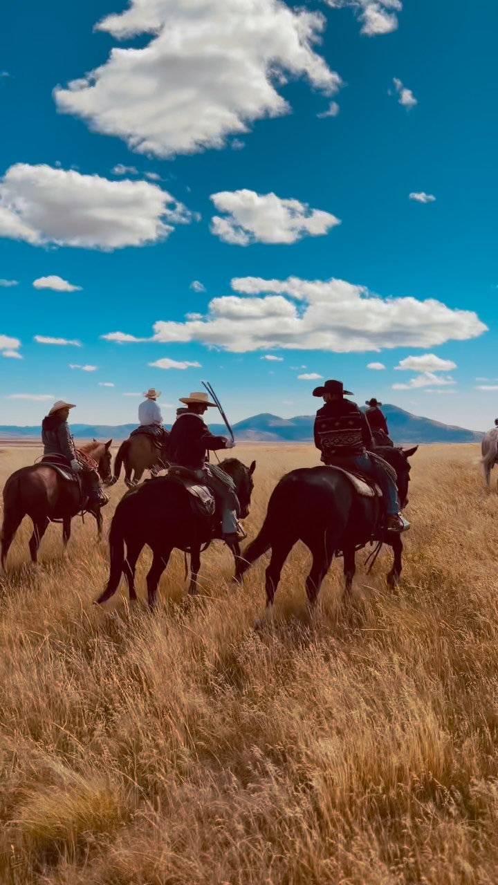 Yearling Round Up 2026!! @doublebbeef 🇺🇸🇺🇸🇺🇸🇺🇸

#CattleDrive #Western #YellowstoneGotNothingOnUs #RanchLife