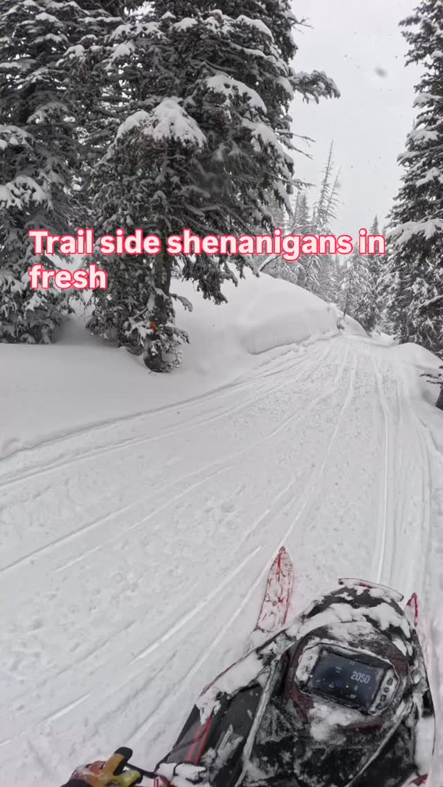 Nothing beats fresh powder in Cooke City, Montana 🤘❄️

Got off the groomed trail and into some untouched snow today — deep, wet powder and wide-open riding. This is what it’s all about… throttle therapy, mountain views, and carving your own lines. If you’ve never ridden fresh snow out here, you’re missing out!

#CookeCityMT #Snowmobiling #FreshPowder #OffTrail #MountainRiding SledLife PowderDay BackcountryRiding ThrottleTherapy WinterAdventures RideMN SnowmobileLife DeepSnow SendIt HighElevation SleddingSeason MontanaMountains WinterFun