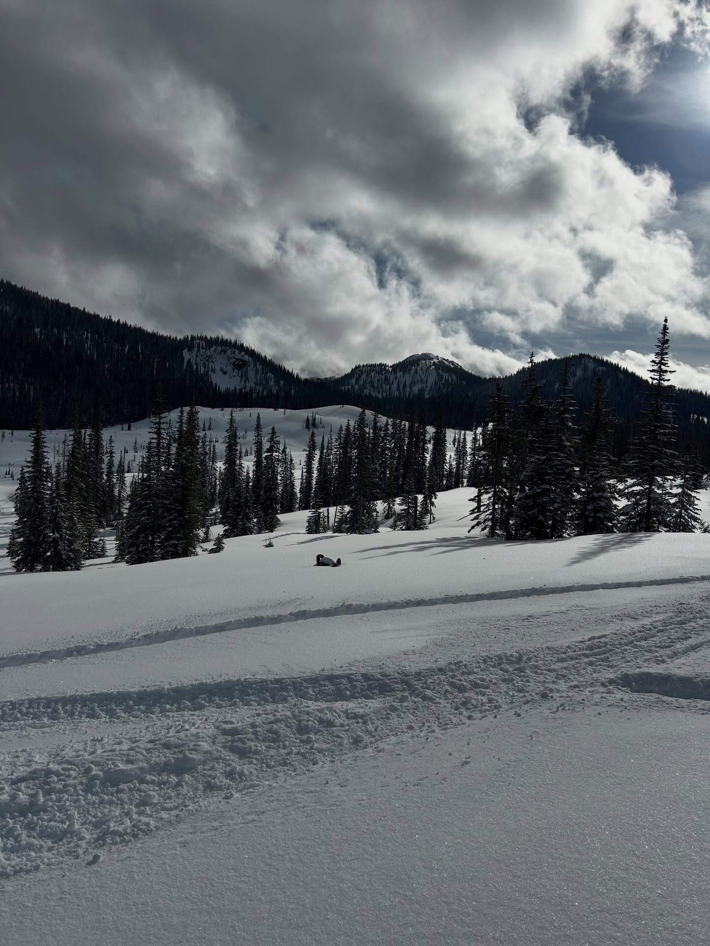 was a good day out this weekend busting up meadows with the Dads in tow. they sit on the side line and watch us do wheelies like a bunch of kids. then ok let’s go to the next spot ok follow me 😉 thx @sledsicamous for the sun and powder and smooth trails #bluebird #snow #bc #mountain #adventure