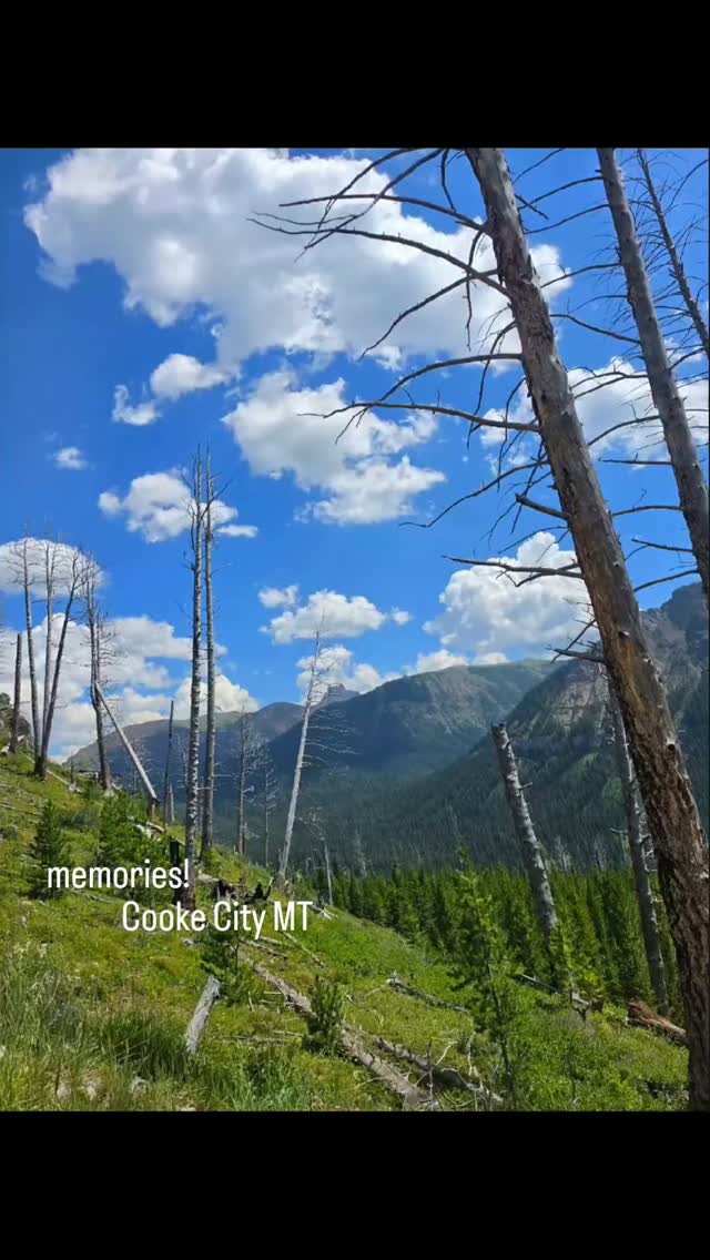 Where the mountains meet the skies!